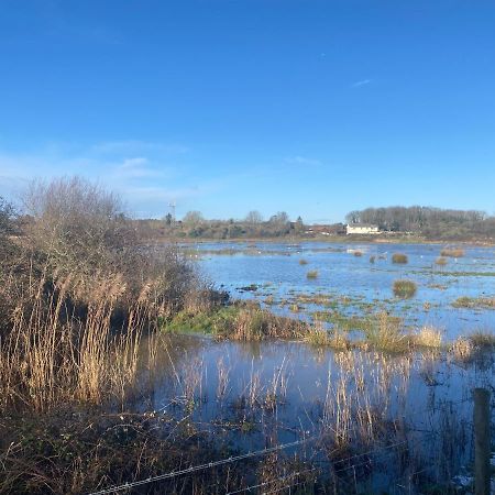 The Lodge On The Marsh Brading Esterno foto