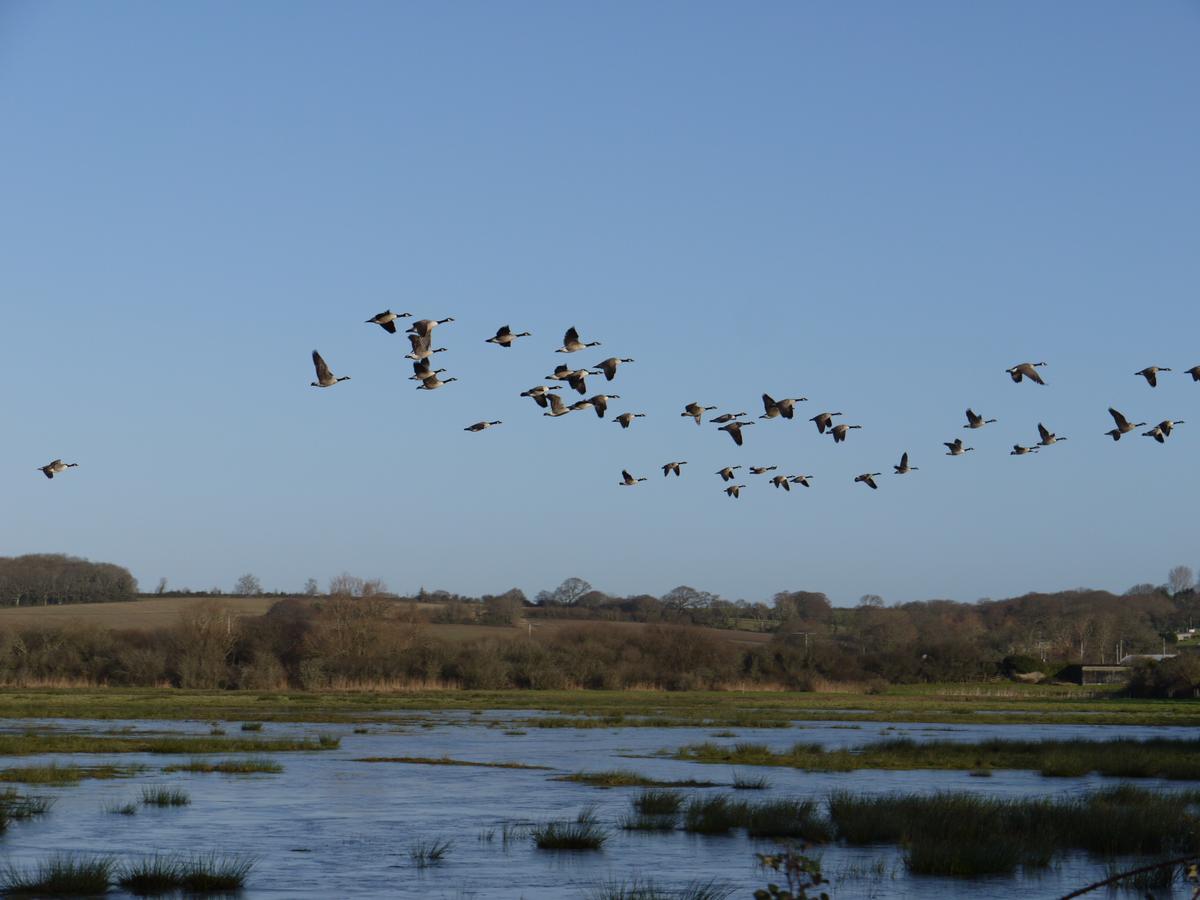 The Lodge On The Marsh Brading Esterno foto