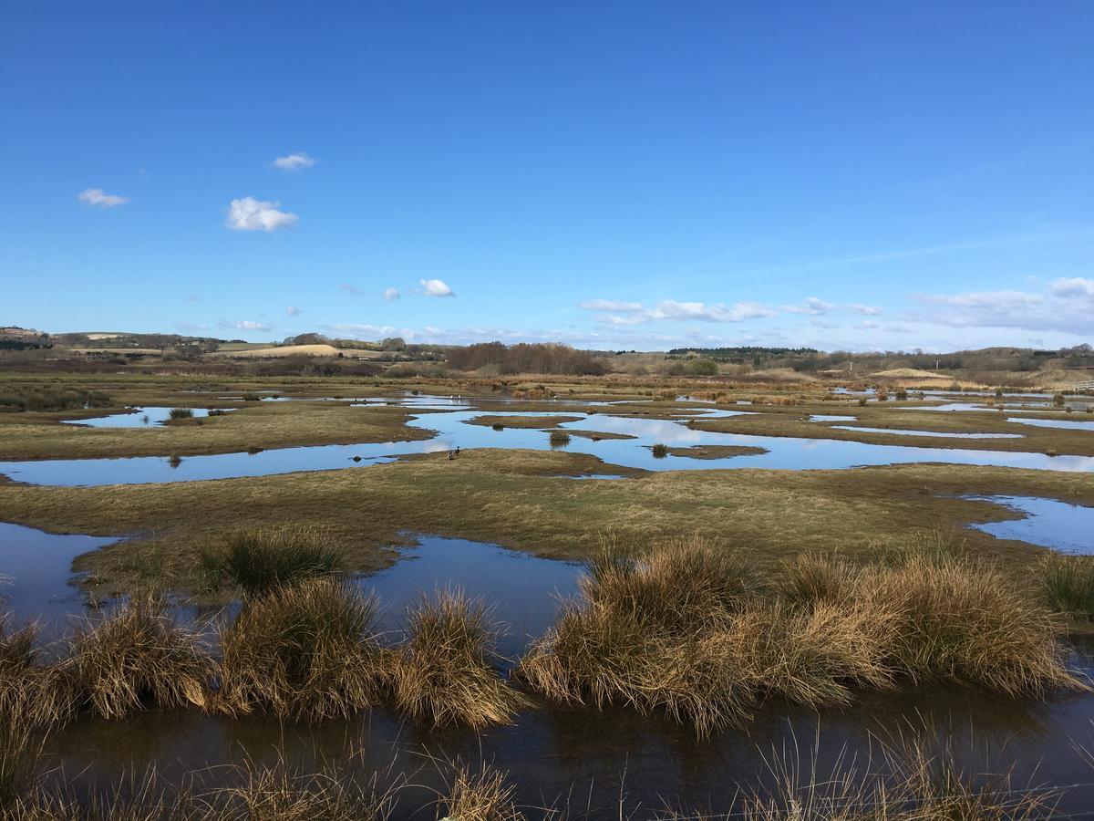 The Lodge On The Marsh Brading Esterno foto